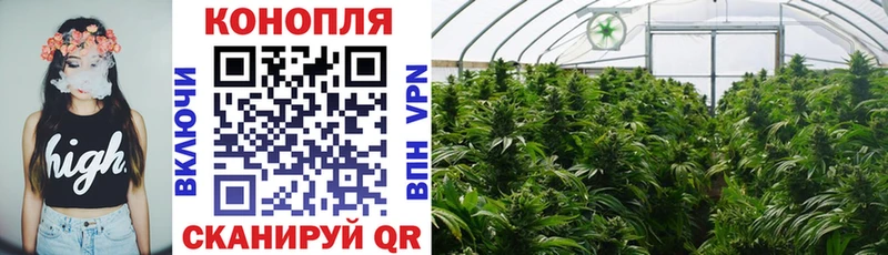 Наркошоп Чита ЭКСТАЗИ  Бошки Шишки  Кокаин  А ПВП  Меф  МЕГА tor  Псилоцибиновые грибы  ГАШ 