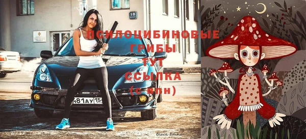 винт Бронницы