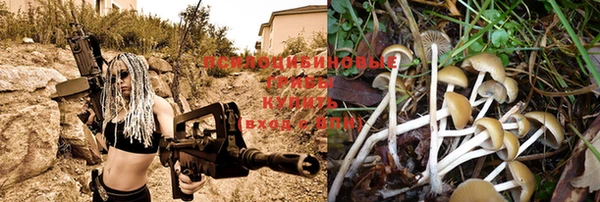 ALPHA-PVP Бородино