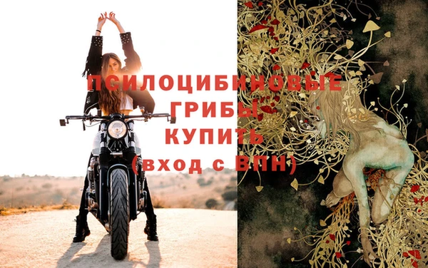 ALPHA-PVP Бородино