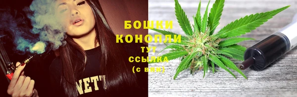 винт Бронницы